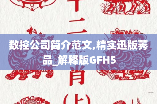 数控公司简介范文,精实迅版莠品_解释版GFH5