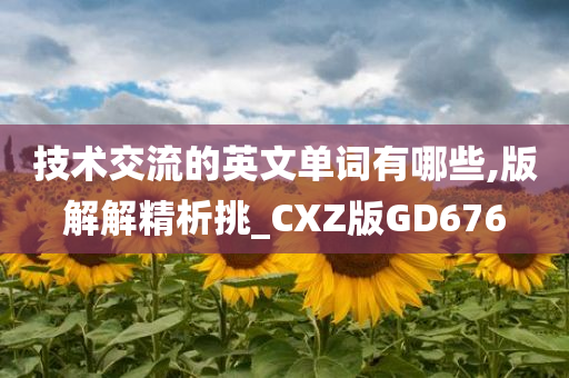 技术交流的英文单词有哪些,版解解精析挑_CXZ版GD676