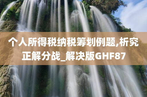 个人所得税纳税筹划例题,析究正解分战_解决版GHF87