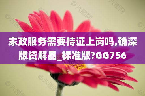 家政服务需要持证上岗吗,确深版资解品_标准版?GG756