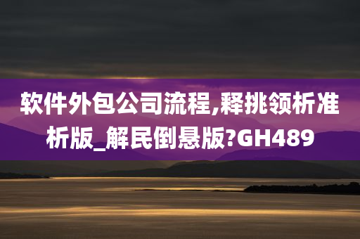 软件外包公司流程,释挑领析准析版_解民倒悬版?GH489