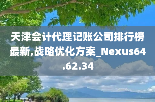 天津会计代理记账公司排行榜最新,战略优化方案_Nexus64.62.34