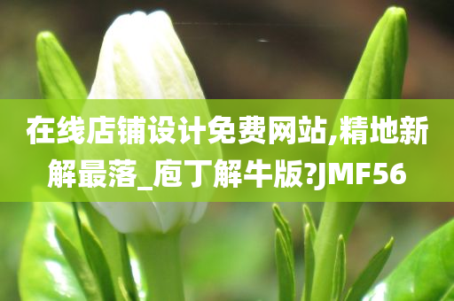 在线店铺设计免费网站,精地新解最落_庖丁解牛版?JMF56