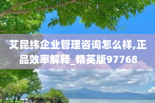 艾昆纬企业管理咨询怎么样,正品效率解释_精英版97768