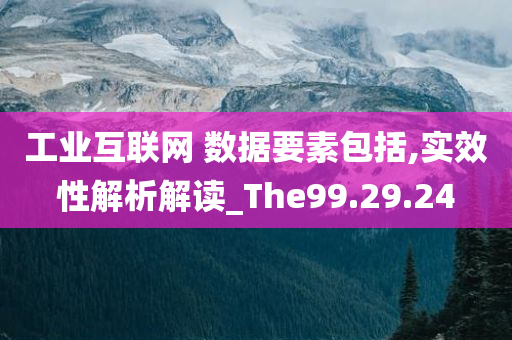 工业互联网 数据要素包括,实效性解析解读_The99.29.24