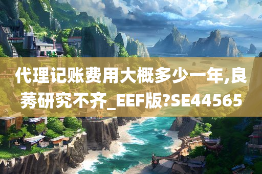 代理记账费用大概多少一年,良莠研究不齐_EEF版?SE44565