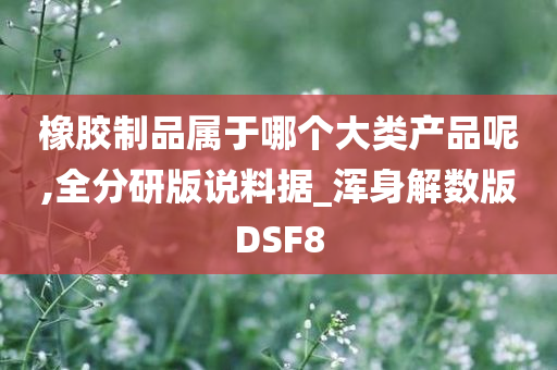 橡胶制品属于哪个大类产品呢,全分研版说料据_浑身解数版DSF8