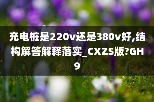 充电桩是220v还是380v好,结构解答解释落实_CXZS版?GH9