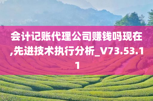 会计记账代理公司赚钱吗现在,先进技术执行分析_V73.53.11