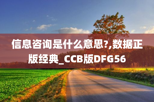 信息咨询是什么意思?,数据正版经典_CCB版DFG56