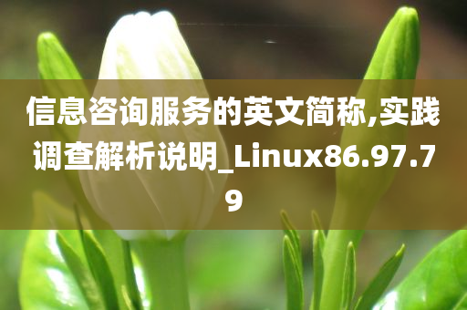 信息咨询服务的英文简称,实践调查解析说明_Linux86.97.79