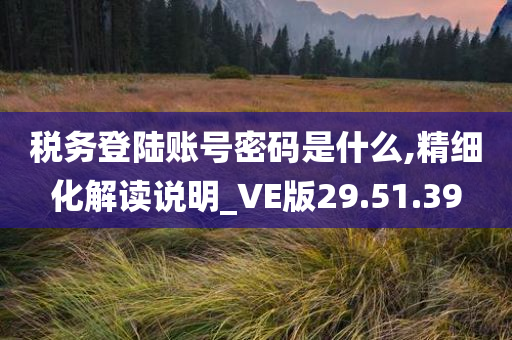 税务登陆账号密码是什么,精细化解读说明_VE版29.51.39