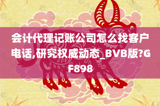 会计代理记账公司怎么找客户电话,研究权威动态_BVB版?GF898