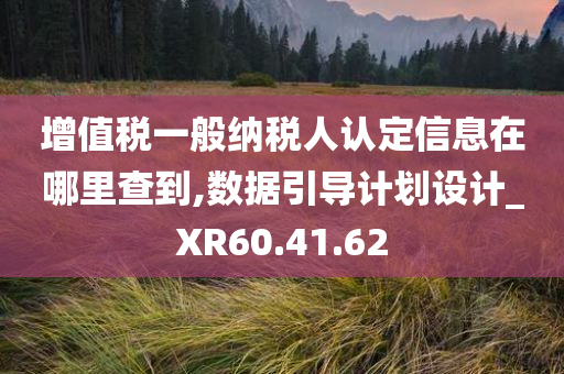 增值税一般纳税人认定信息在哪里查到,数据引导计划设计_XR60.41.62