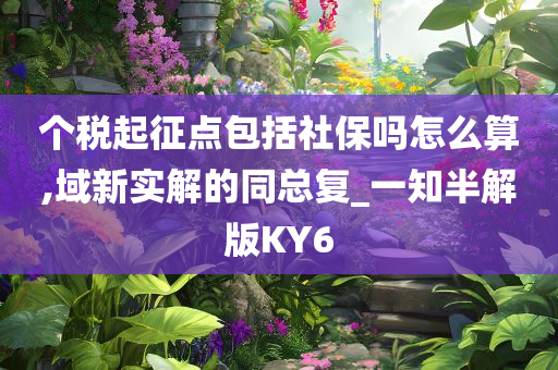 个税起征点包括社保吗怎么算,域新实解的同总复_一知半解版KY6