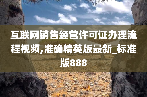 互联网销售经营许可证办理流程视频,准确精英版最新_标准版888