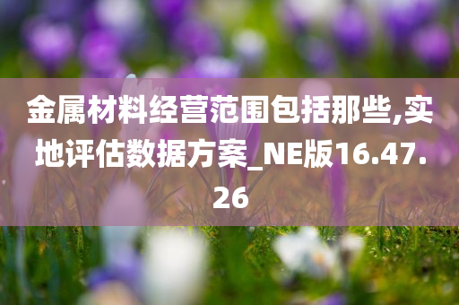 金属材料经营范围包括那些,实地评估数据方案_NE版16.47.26