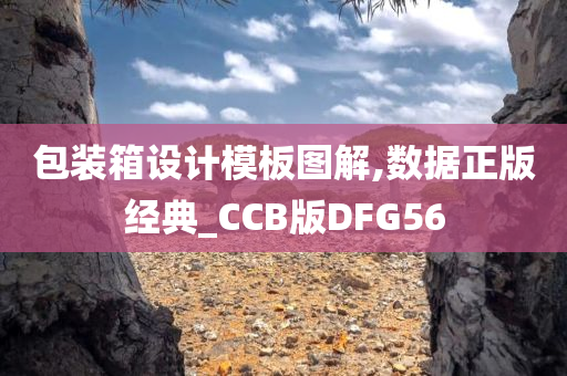 包装箱设计模板图解,数据正版经典_CCB版DFG56