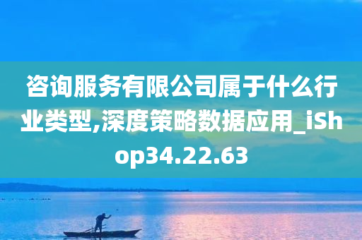 咨询服务有限公司属于什么行业类型,深度策略数据应用_iShop34.22.63