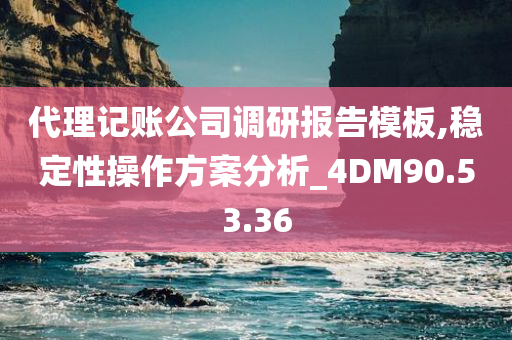 代理记账公司调研报告模板,稳定性操作方案分析_4DM90.53.36