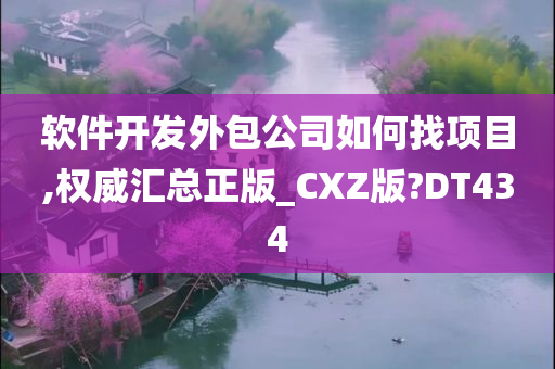 软件开发外包公司如何找项目,权威汇总正版_CXZ版?DT434