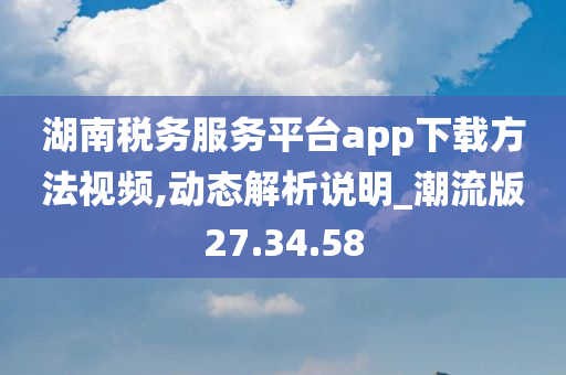 湖南税务服务平台app下载方法视频,动态解析说明_潮流版27.34.58