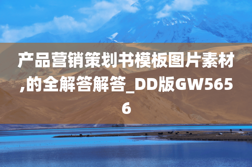 产品营销策划书模板图片素材,的全解答解答_DD版GW5656