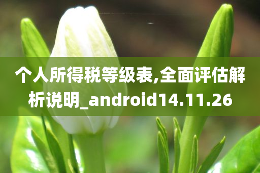 个人所得税等级表,全面评估解析说明_android14.11.26