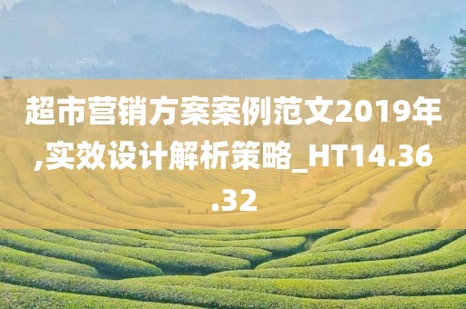 超市营销方案案例范文2019年,实效设计解析策略_HT14.36.32