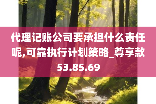 代理记账公司要承担什么责任呢,可靠执行计划策略_尊享款53.85.69