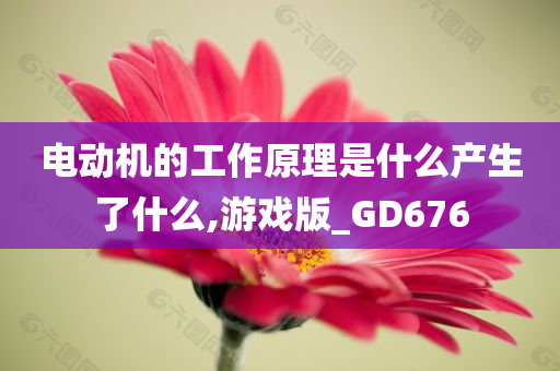 电动机的工作原理是什么产生了什么,游戏版_GD676