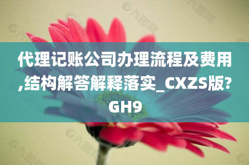 代理记账公司办理流程及费用,结构解答解释落实_CXZS版?GH9