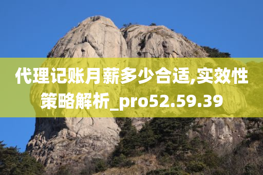 代理记账月薪多少合适,实效性策略解析_pro52.59.39