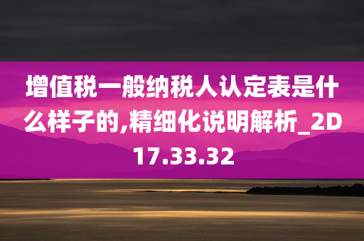 增值税一般纳税人认定表是什么样子的,精细化说明解析_2D17.33.32