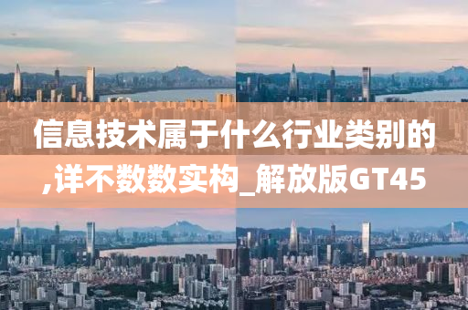 信息技术属于什么行业类别的,详不数数实构_解放版GT45