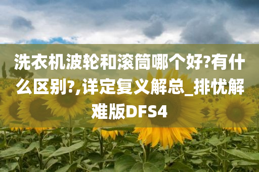 洗衣机波轮和滚筒哪个好?有什么区别?,详定复义解总_排忧解难版DFS4