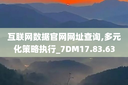 互联网数据官网网址查询,多元化策略执行_7DM17.83.63