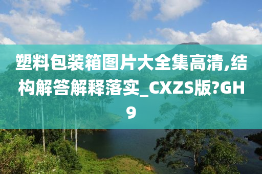 塑料包装箱图片大全集高清,结构解答解释落实_CXZS版?GH9