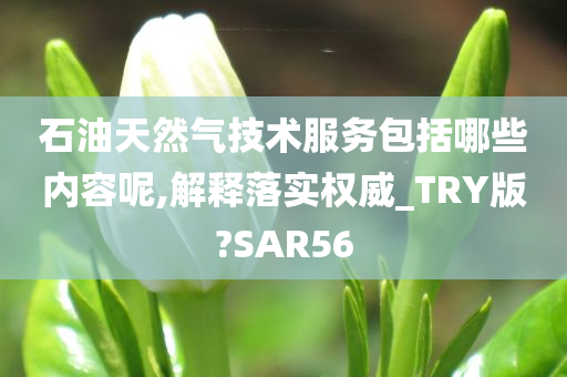 石油天然气技术服务包括哪些内容呢,解释落实权威_TRY版?SAR56