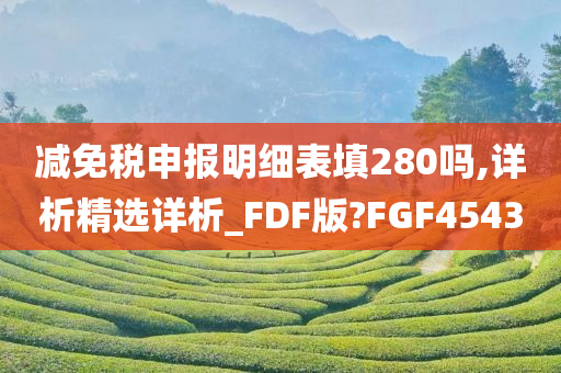 减免税申报明细表填280吗,详析精选详析_FDF版?FGF4543