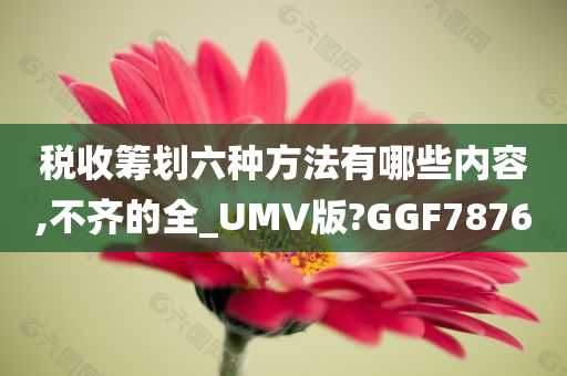 税收筹划六种方法有哪些内容,不齐的全_UMV版?GGF7876