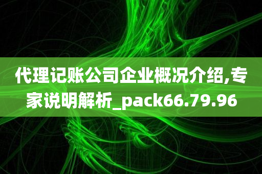 代理记账公司企业概况介绍,专家说明解析_pack66.79.96