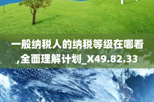 一般纳税人的纳税等级在哪看,全面理解计划_X49.82.33