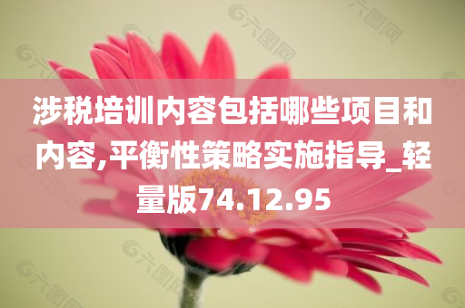 涉税培训内容包括哪些项目和内容,平衡性策略实施指导_轻量版74.12.95