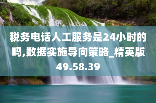 税务电话人工服务是24小时的吗,数据实施导向策略_精英版49.58.39