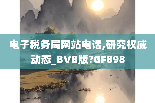 电子税务局网站电话,研究权威动态_BVB版?GF898