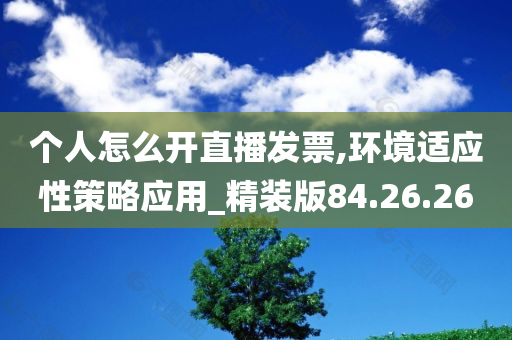 个人怎么开直播发票,环境适应性策略应用_精装版84.26.26