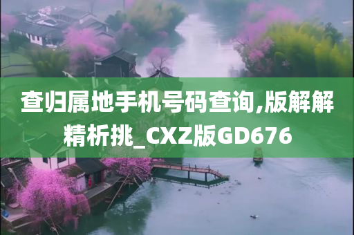 查归属地手机号码查询,版解解精析挑_CXZ版GD676