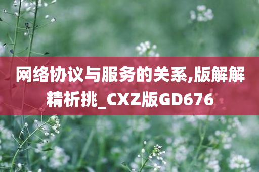 网络协议与服务的关系,版解解精析挑_CXZ版GD676