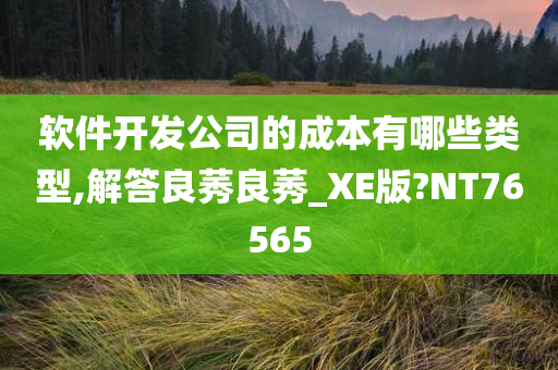 软件开发公司的成本有哪些类型,解答良莠良莠_XE版?NT76565